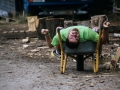 shrink-IMG_0755