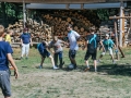 shrink-IMG_9995